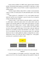 Prakses atskaite 'Prakses pārskats', 16.