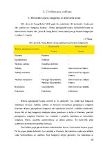 Prakses atskaite 'Prakses pārskats', 20.