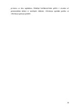 Prakses atskaite 'Prakses pārskats', 30.