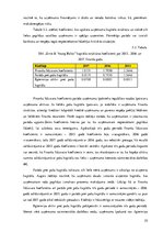 Prakses atskaite 'Prakses pārskats', 33.