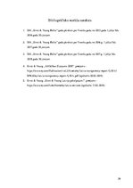 Prakses atskaite 'Prakses pārskats', 39.