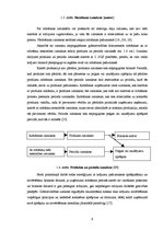 Referāts 'Apgrozāmo līdzekļu uzskaite un analīze', 9.
