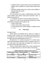 Referāts 'Apgrozāmo līdzekļu uzskaite un analīze', 16.