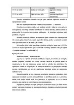 Referāts 'Apgrozāmo līdzekļu uzskaite un analīze', 17.