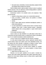 Referāts 'Apgrozāmo līdzekļu uzskaite un analīze', 19.