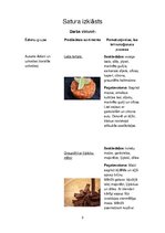 Prakses atskaite 'Ēdināšanas pakalpojumu specialitāte', 5.