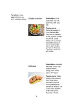 Prakses atskaite 'Ēdināšanas pakalpojumu specialitāte', 9.