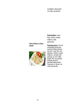 Prakses atskaite 'Ēdināšanas pakalpojumu specialitāte', 10.