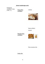 Prakses atskaite 'Ēdināšanas pakalpojumu specialitāte', 15.