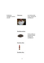 Prakses atskaite 'Ēdināšanas pakalpojumu specialitāte', 17.