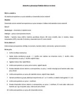 Paraugs 'Asinsrites pārmaiņas fiziskās slodzes ietekmē', 1.