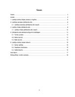 Referāts 'Lietišķa cilvēka ārējais izskats un ģērbšanās stils', 3.