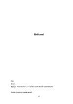 Referāts 'Sporta stundu aktualitāte 5–9.klašu skolēniem', 19.