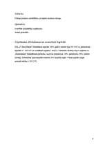 Biznesa plāns '"JT-Real Estate" biznesa plāns', 6.