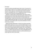 Biznesa plāns '"JT-Real Estate" biznesa plāns', 19.