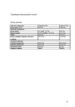 Biznesa plāns '"JT-Real Estate" biznesa plāns', 23.