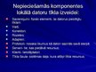 Prezentācija 'Informācijas un komunikāciju tehnoloģijas', 18.