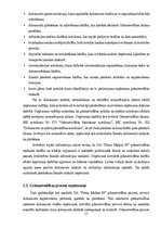 Prakses atskaite 'Grāmatvedības prakses atskaite', 17.