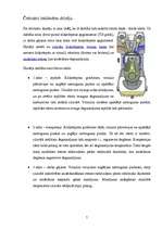 Referāts 'Iekšdedzes dzinējs', 7.