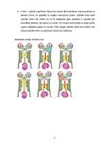 Referāts 'Iekšdedzes dzinējs', 8.