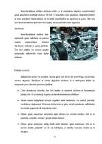 Referāts 'Iekšdedzes dzinējs', 13.