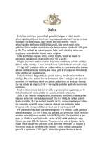 Konspekts 'Zelts', 1.