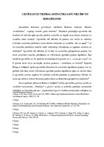 Eseja 'Cilvēkam ir tiesības apzināties savu niecību un iespaidīgumu', 1.