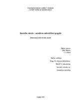 Referāts 'Jauniešu valoda - mūsdienu sabiedrības spogulis', 1.