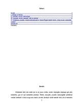 Referāts 'Jauniešu valoda - mūsdienu sabiedrības spogulis', 2.