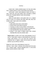 Referāts 'Jauniešu valoda - mūsdienu sabiedrības spogulis', 17.