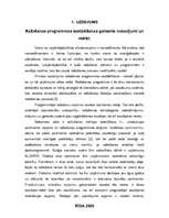 Referāts 'Ražošanas programmas sastādīšanas galvenie nosacījumi un mērķi', 2.