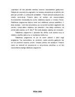 Referāts 'Ražošanas programmas sastādīšanas galvenie nosacījumi un mērķi', 3.