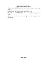 Referāts 'Ražošanas programmas sastādīšanas galvenie nosacījumi un mērķi', 8.