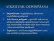 Prezentācija 'Atkritumu šķirošana, transportēšana, izvietošana un deponēšana', 15.