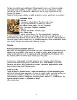 Konspekts 'Meksikas virtuve', 7.