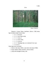 Diplomdarbs 'Grīņa sārtenes izplatība dabas liegumā "Sakas grīņi"', 19.