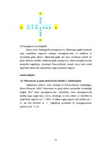 Diplomdarbs 'Grīņa sārtenes izplatība dabas liegumā "Sakas grīņi"', 30.