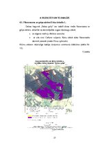 Diplomdarbs 'Grīņa sārtenes izplatība dabas liegumā "Sakas grīņi"', 33.