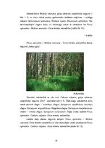 Diplomdarbs 'Grīņa sārtenes izplatība dabas liegumā "Sakas grīņi"', 34.