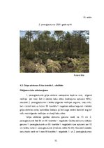 Diplomdarbs 'Grīņa sārtenes izplatība dabas liegumā "Sakas grīņi"', 38.