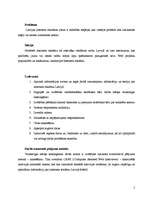 Referāts 'Interneta reklāmas attīstības tendences Latvijā', 5.