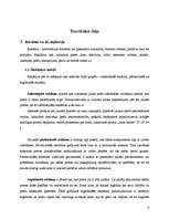 Referāts 'Interneta reklāmas attīstības tendences Latvijā', 6.