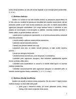 Referāts 'Interneta reklāmas attīstības tendences Latvijā', 7.