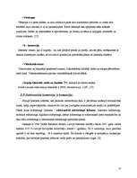 Referāts 'Interneta reklāmas attīstības tendences Latvijā', 10.