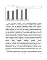 Referāts 'Interneta reklāmas attīstības tendences Latvijā', 11.