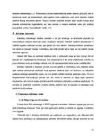 Referāts 'Interneta reklāmas attīstības tendences Latvijā', 12.