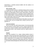 Referāts 'Interneta reklāmas attīstības tendences Latvijā', 13.