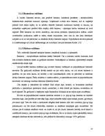 Referāts 'Interneta reklāmas attīstības tendences Latvijā', 14.