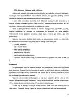 Referāts 'Interneta reklāmas attīstības tendences Latvijā', 17.