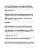 Referāts 'Interneta reklāmas attīstības tendences Latvijā', 19.